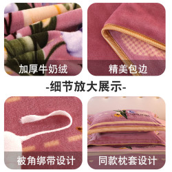 牛奶絨床上四件套冬款加厚保暖珊瑚絨雙面加絨法蘭絨被套2025新款