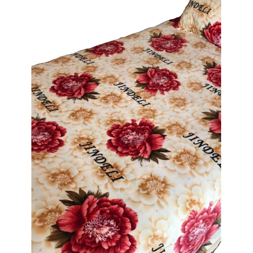 秋冬季加厚牛奶絨被套單件法萊絨毛絨被罩學生珊瑚絨法蘭絨四件套