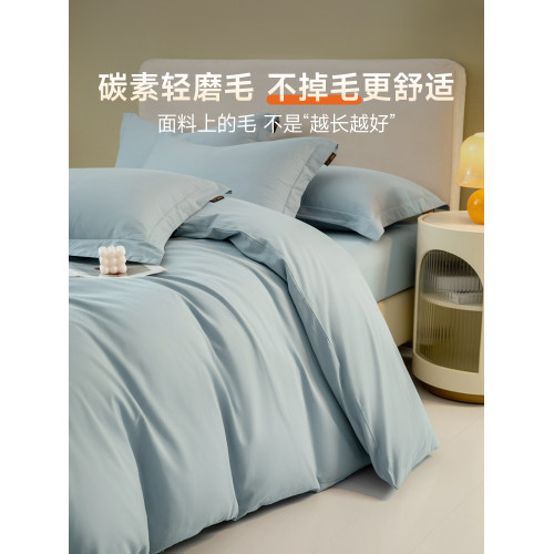 A類200支長絨棉磨毛四件套全棉純棉2024新款床單被套床包床上用品