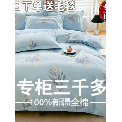 2025新款100支抗菌加厚全棉四件套100純棉加厚長絨棉被套床上用品