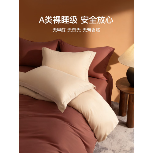 高級加厚100支純棉磨毛四件套2025新款秋冬床上全棉床單笠被套三4