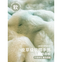 冬季兔毛絨四件套牛奶絨加厚法蘭珊瑚絨床單被套床包雙面加絨床品