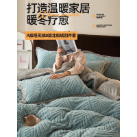 冬季加厚塔芙絨四件套加絨高克重牛奶絨被套床單學生宿捨三件套