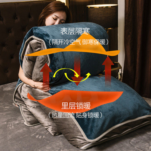 輕奢牛奶絨四件套冬季珊瑚絨法蘭絨保暖純色加絨防靜電床品高級感