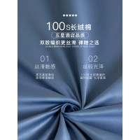 100支長絨棉酒店隔髒睡袋住賓館純棉床單雙人可攜式出差旅行神器