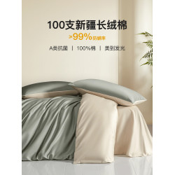 100支新疆長絨棉磨毛防蟎四件套全棉純棉2025新款床單被套床上三4