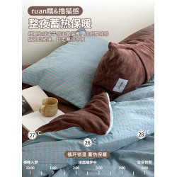 秋冬ab版全棉牛奶絨床上四件套加厚珊瑚絨面被套床單床包款三件套
