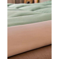 雲絲絨榻榻米床墊軟墊家用學生宿捨單人租房專用海綿墊被褥床褥子