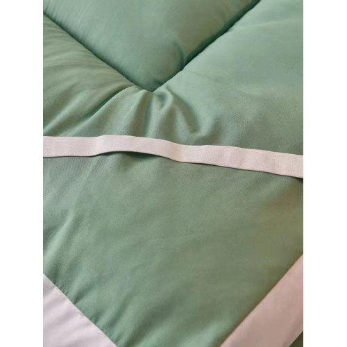 雲絲絨榻榻米床墊軟墊家用學生宿捨單人租房專用海綿墊被褥床褥子