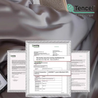 日織西川100支奧地利蘭精天絲夏季床四件套冰絲夏涼被套床包床單