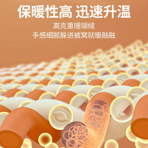 拉捨爾毛毯冬季天超厚加絨午睡蓋毯床單人宿捨學生珊瑚法蘭絨被子 拉捨爾毛毯冬季天超厚加絨午睡蓋毯床單人宿捨學生珊瑚法蘭絨被子