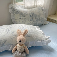 小紅書推薦公主風裸睡純棉全棉四件套少女心花邊床單被罩床上用品