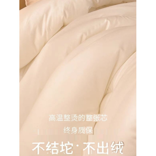 好軟糯鴨~50%大豆纖維被+50%抗菌纖維 冬季加厚保暖被子被芯 冬被