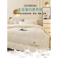 泡泡紗大豆纖維被子冬天冬被加厚保暖四季秋冬季大小姐單人棉被芯