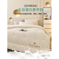 泡泡紗大豆纖維被子冬天冬被加厚保暖四季秋冬季大小姐單人棉被芯