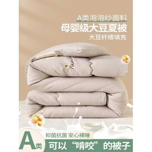 泡泡紗大豆纖維被子冬天冬被加厚保暖四季秋冬季大小姐單人棉被芯