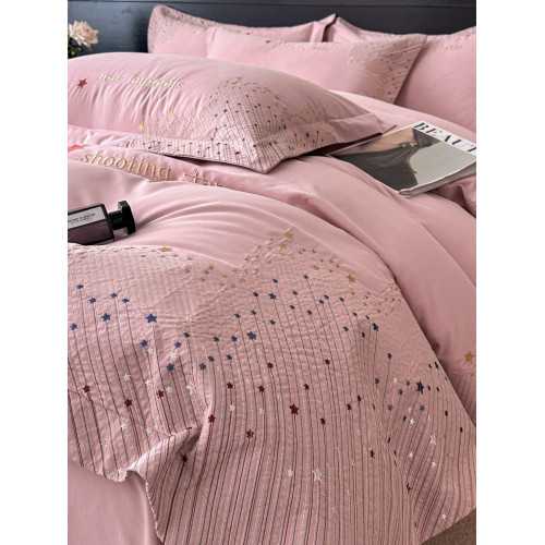 小紅書推薦裸睡純棉全棉滿天星刺綉四件套歐式輕奢高級感床單被罩