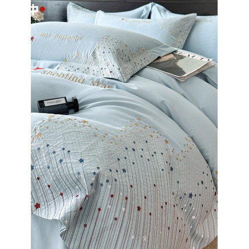 小紅書推薦裸睡純棉全棉滿天星刺綉四件套歐式輕奢高級感床單被罩