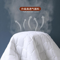 酒店床墊軟墊薄款蓆夢思保護墊可水洗褥子床上用品賓館保潔隔髒墊