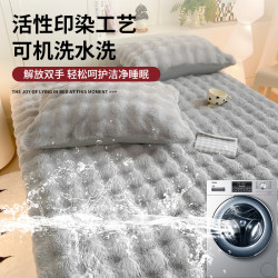 兔毛絨床包單件秋冬季加絨床罩加厚牛奶珊瑚絨床墊保護罩2025新款