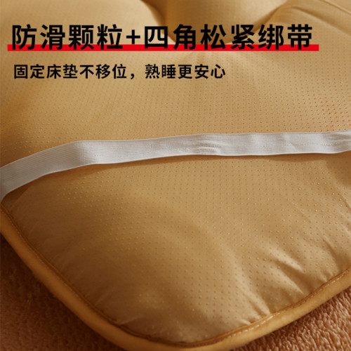 羊羔絨加厚保暖床墊軟墊家用學生宿捨單人床褥墊褥子墊被被褥鋪底
