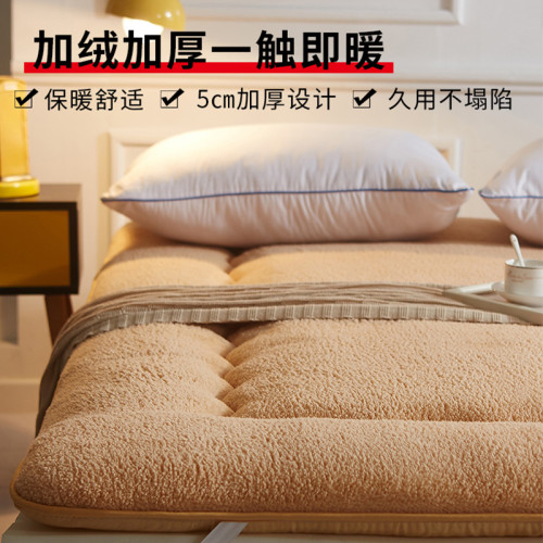 羊羔絨加厚保暖床墊軟墊家用學生宿捨單人床褥墊褥子墊被被褥鋪底