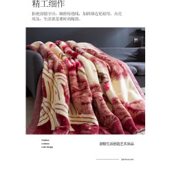 新款雙層加厚拉捨爾毛毯秋冬保暖絨毯單雙人結婚慶午睡毯子蓋毯被