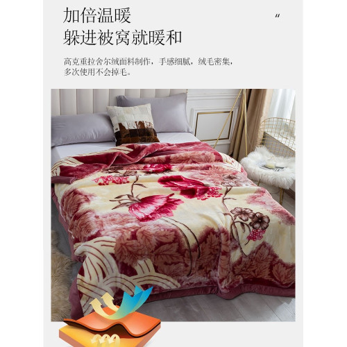 新款雙層加厚拉捨爾毛毯秋冬保暖絨毯單雙人結婚慶午睡毯子蓋毯被