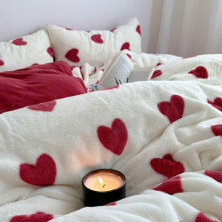 雙面加厚牛奶珊瑚絨床上四件套冬季兔毛絨床品女孩被套法蘭絨床單