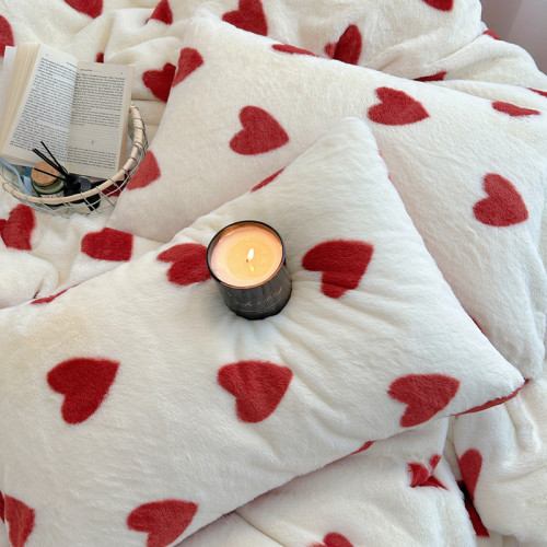 雙面加厚牛奶珊瑚絨床上四件套冬季兔毛絨床品女孩被套法蘭絨床單