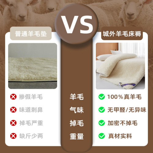 100%進口澳洲羊毛床墊軟墊冬季床褥子加厚單人冬天保暖羊羔絨墊子 100%進口澳洲羊毛床墊軟墊冬季床褥子加厚單人冬天保暖羊羔絨墊子