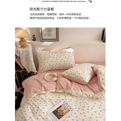 A類級雙層紗床單四件套水洗棉全棉被套小清新宿捨三件套純棉床品4