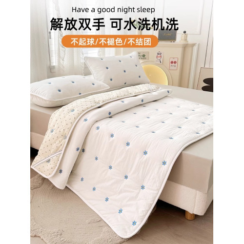 大豆夾棉床墊軟墊家用臥室薄款褥子墊被單人床褥墊鋪底保護防滑墊