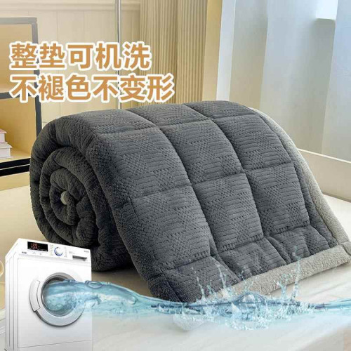 牛奶絨床墊學生宿捨冬天加厚保暖法蘭褥子墊被單人床單毛毯軟墊子