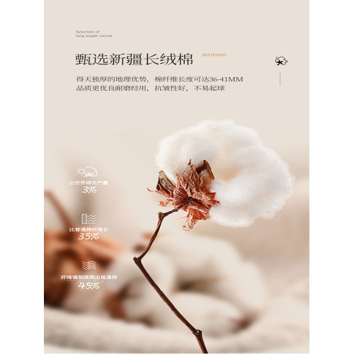 輕奢高檔全棉純棉床上四件套簡約刺綉新疆長絨棉床單歐式被套床包