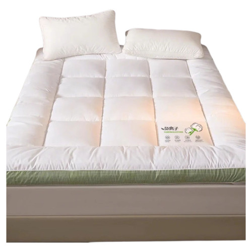 酒店床墊家用臥室軟墊床褥子租房專用宿捨學生單人加厚墊被遮蓋物