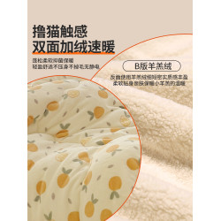 羊羔絨毛毯被子冬季加厚蓋毯珊瑚絨毯子床上用宿捨午睡毯加絨保暖