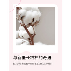 潔麗雅新疆棉床包單件全棉床罩純棉床墊保護罩床套罩防塵罩三件套