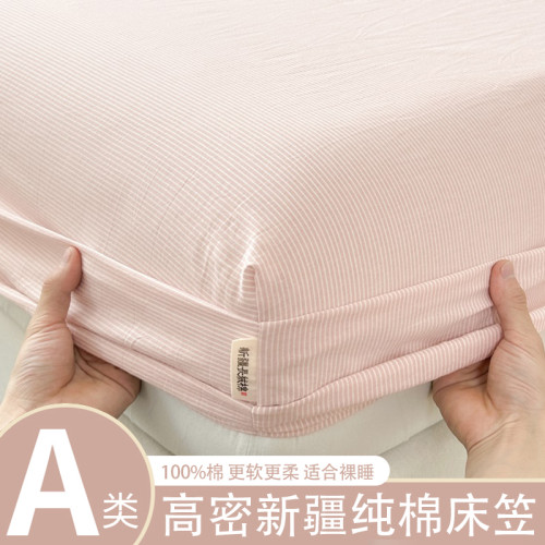 a類純棉床包2026新款四季通用全棉床罩床墊保護套罩單件冬季床套