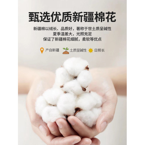 100全棉床包罩床墊保護罩三件套純棉床單床墊套單件夏季2026新款3