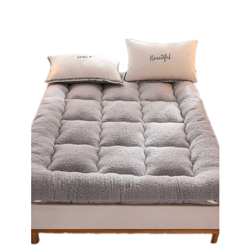 秋冬季加厚保暖羊羔絨床墊軟墊家用臥室單人宿捨租房褥子墊被鋪底