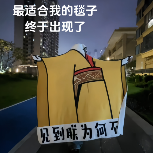 夏季空調毯龍圖見朕爲何不跪搞怪毯子宿捨午睡毯搞笑床上小毯子