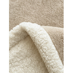 2026款保暖秋冬季加厚羊羔絨毛毯舒棉絨蓋毯可機洗宿捨辦公午睡毯