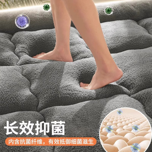 冬季床墊軟墊遮蓋物加厚加絨牛奶絨家用冬墊被床褥子學生宿捨單人