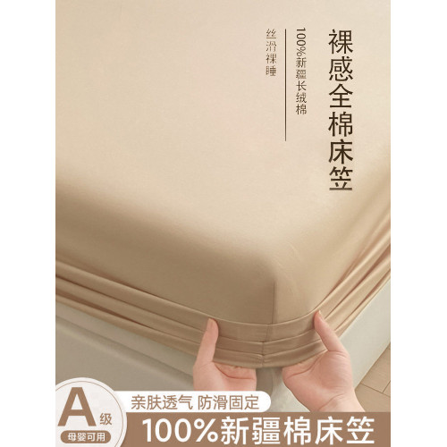 全棉床包單件100純棉床罩三件套2025新款四季通用床單保護床墊罩