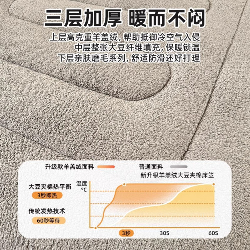 羊羔絨墊子冬天床包冬季加絨加厚夾棉床墊保護套床罩毛絨鋪床毯子