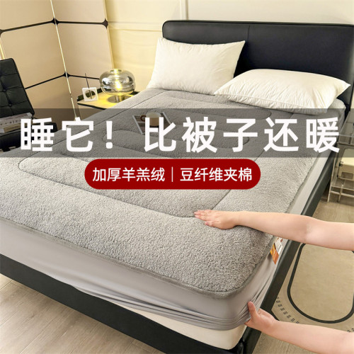 羊羔絨墊子冬天床包冬季加絨加厚夾棉床墊保護套床罩毛絨鋪床毯子