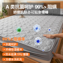 2025新款夾棉床包防水隔尿四季通用加厚單床墊保護床罩全包三件套