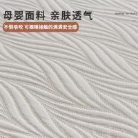 床包2025新款四季通用床罩單件蓆夢思床墊保護罩防塵床套加厚夾棉