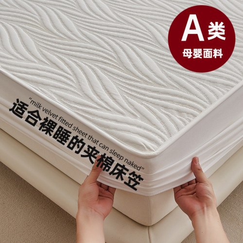 床包2025新款四季通用床罩單件蓆夢思床墊保護罩防塵床套加厚夾棉
